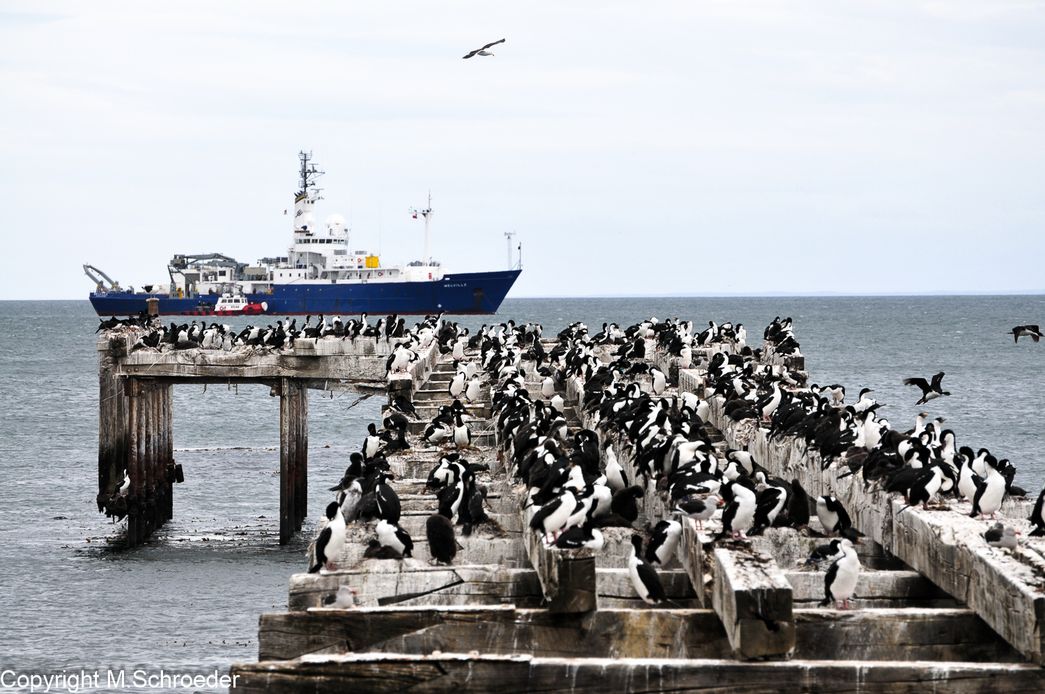 Punta Arenas