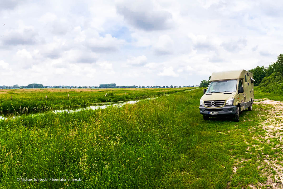 Ein Streifzug durch die Diepholzer Moorniederung