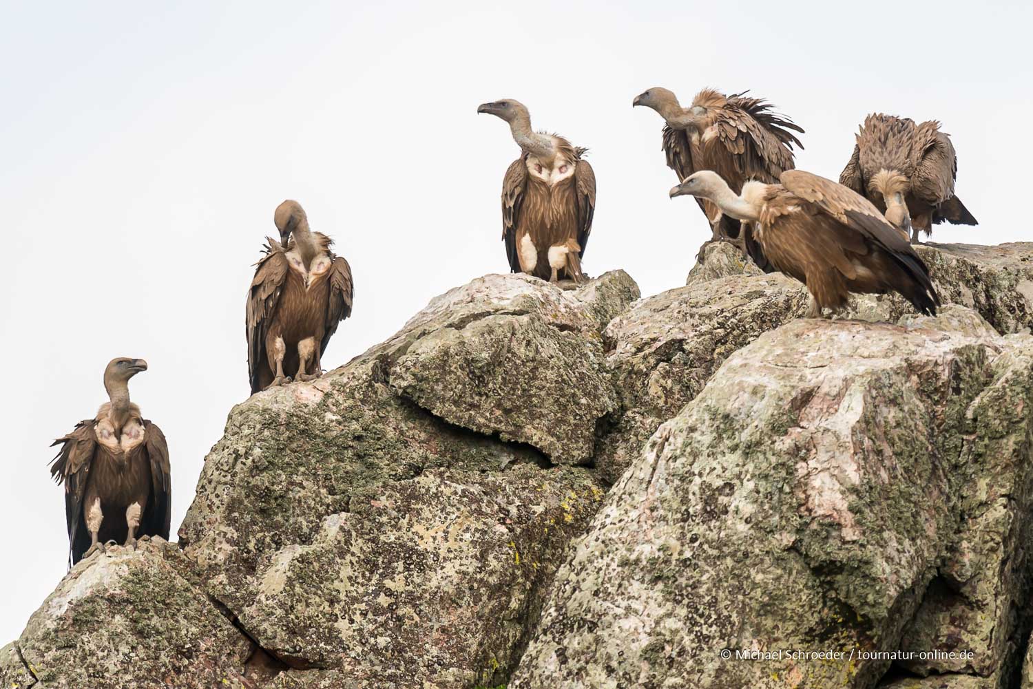 Nationalpark Monfragüe