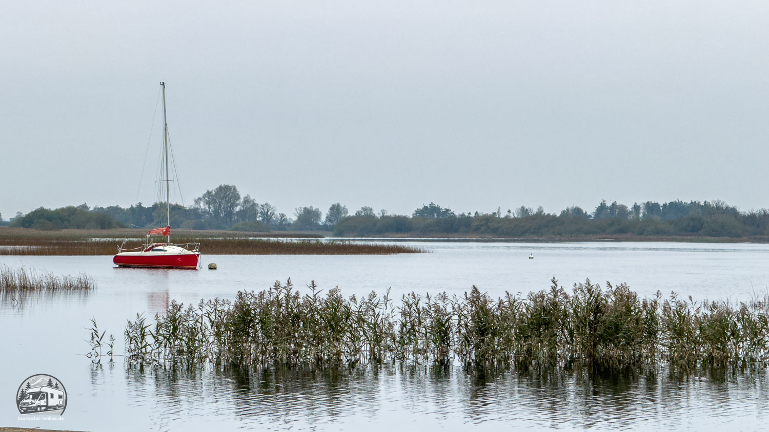 Irland - entlang des Shannon