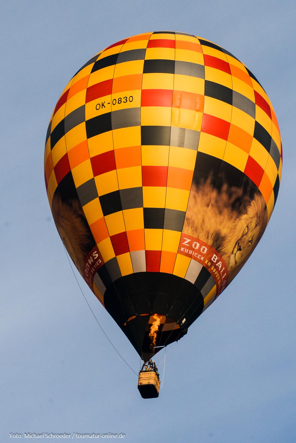 Montgolfiade in Warstein