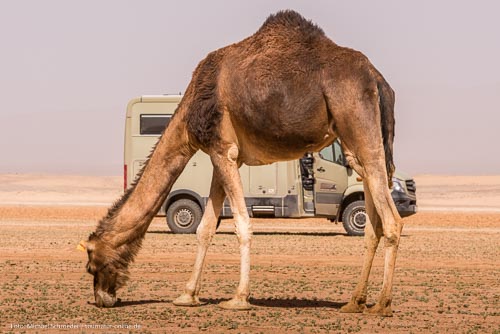 Marokko: Praktische Tipps für die Reise