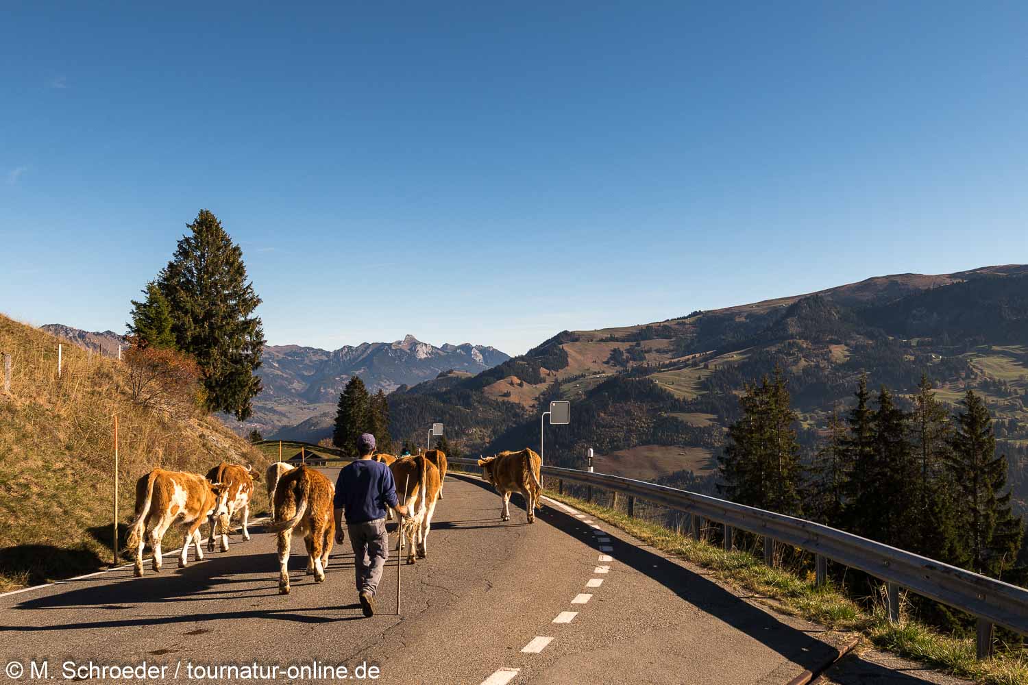 Jaunpaß und das Simmental