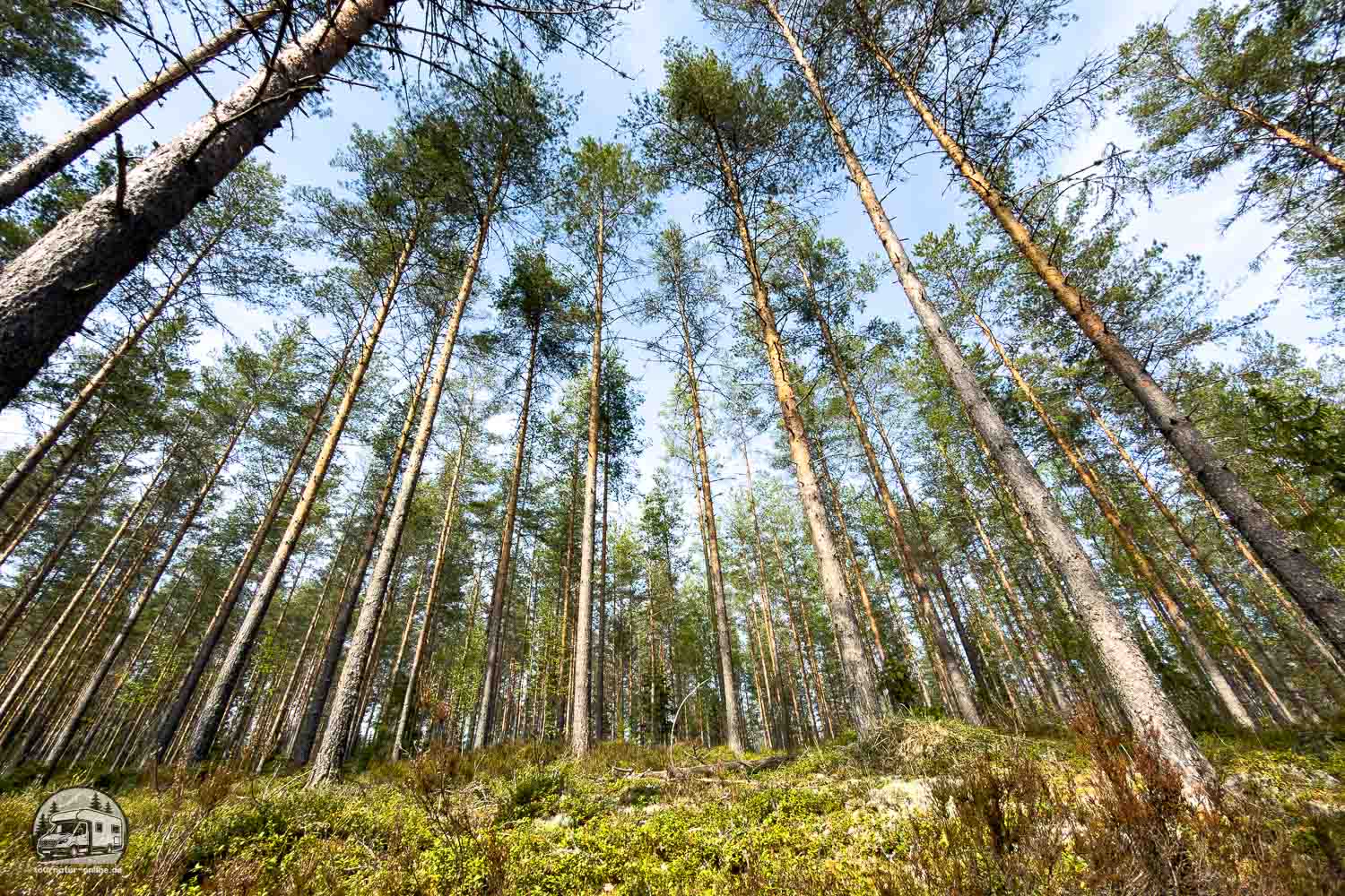 Finnlands grünes Herz