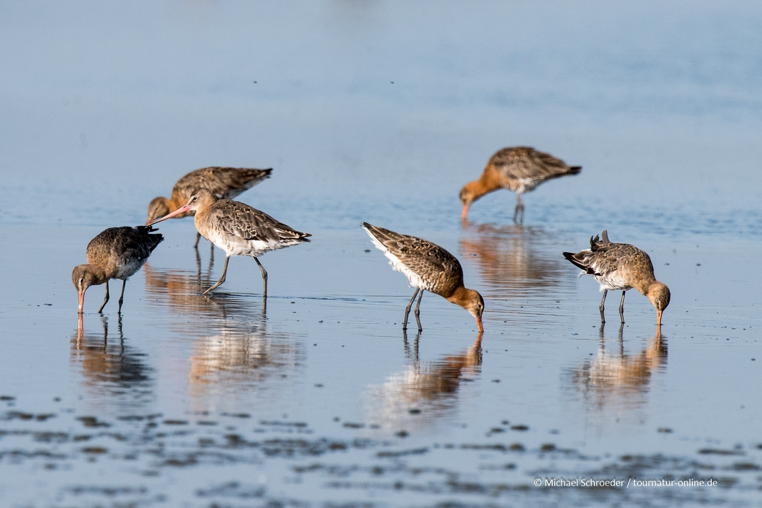 Niederlande: Naturparks im Norden