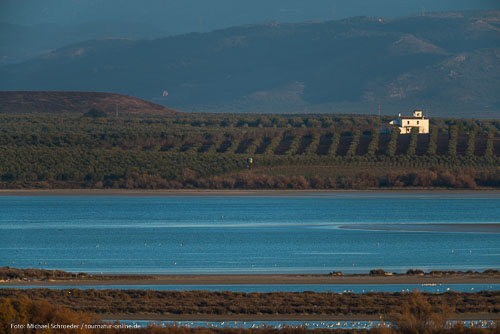 Antequera und Naturpark Fuente de Piedra //