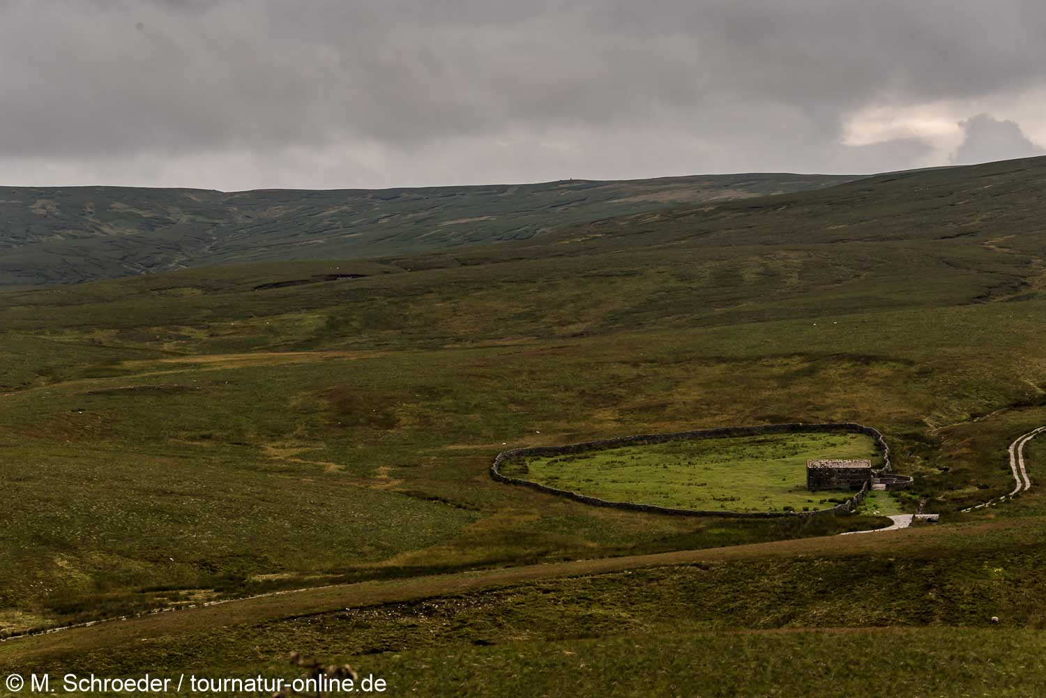 Die Yorkshire Dales