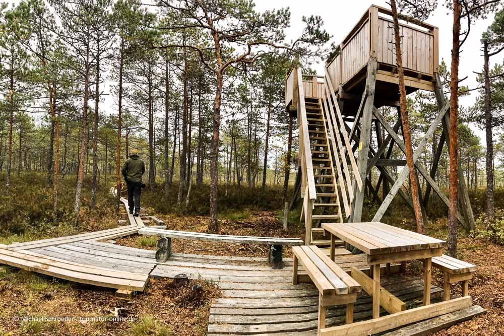 Beobachtungsturm im Puurijärvi and Isosuo National Park