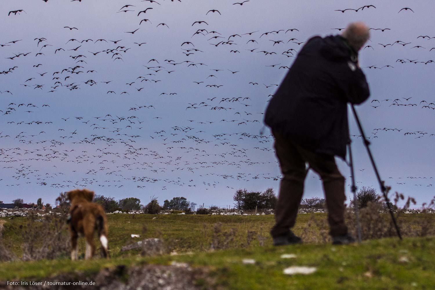 Südschweden für Naturliebhaber