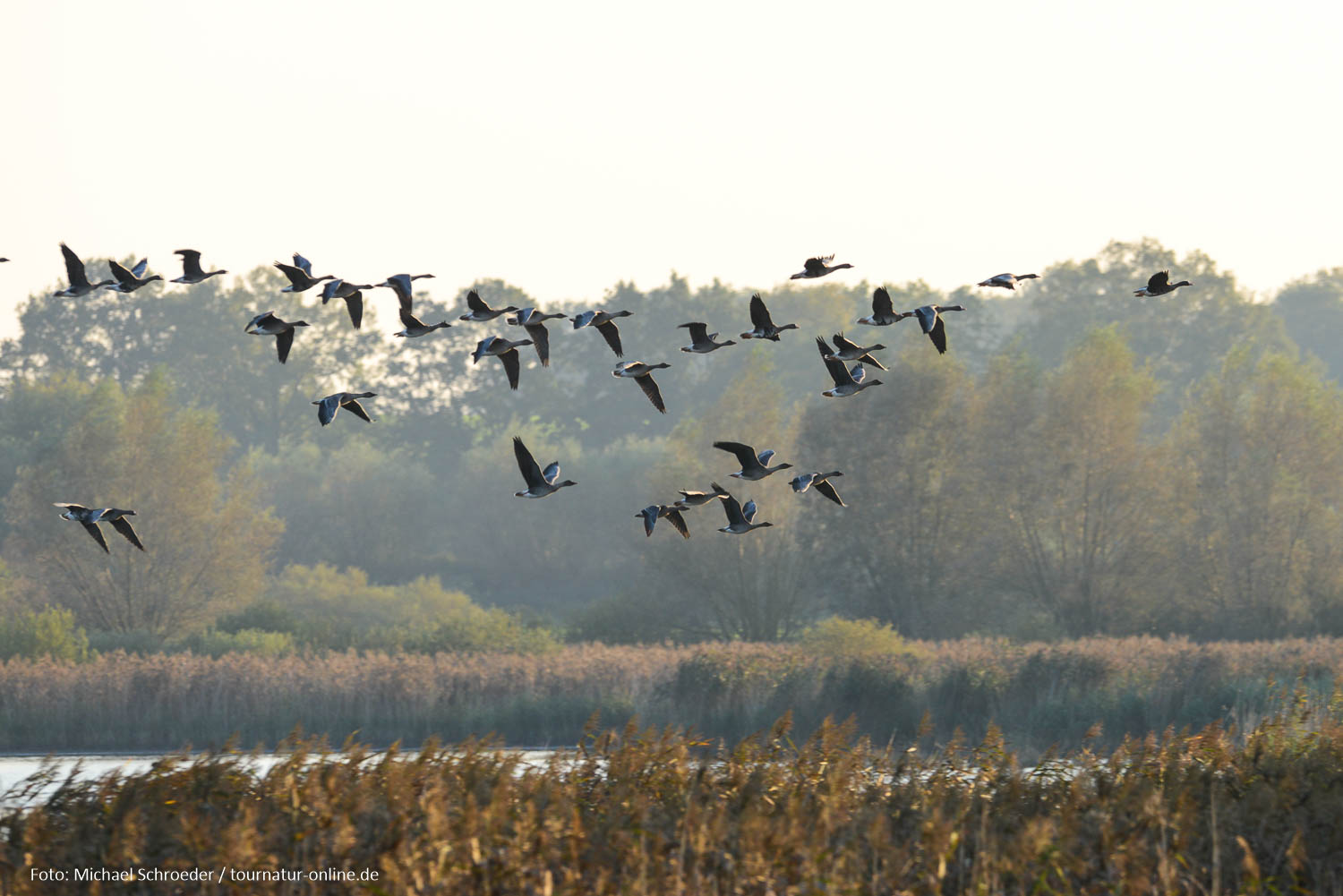 Mecklenburgische Seenplatte und Nationalpark Müritz