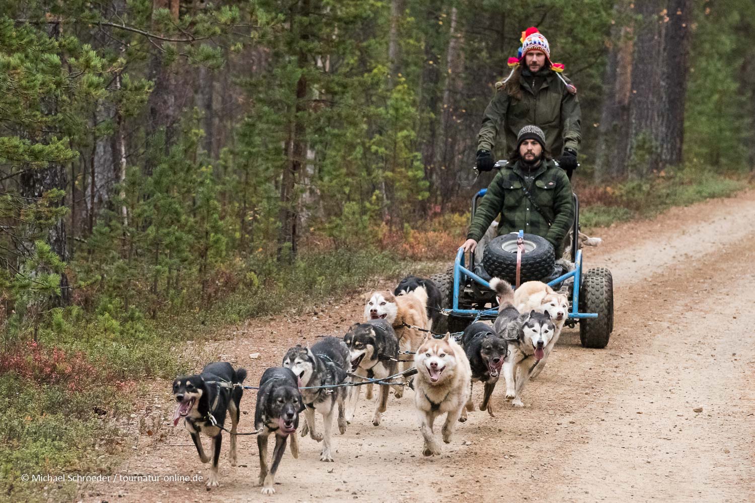 Huskyfarm Nomadic Naali