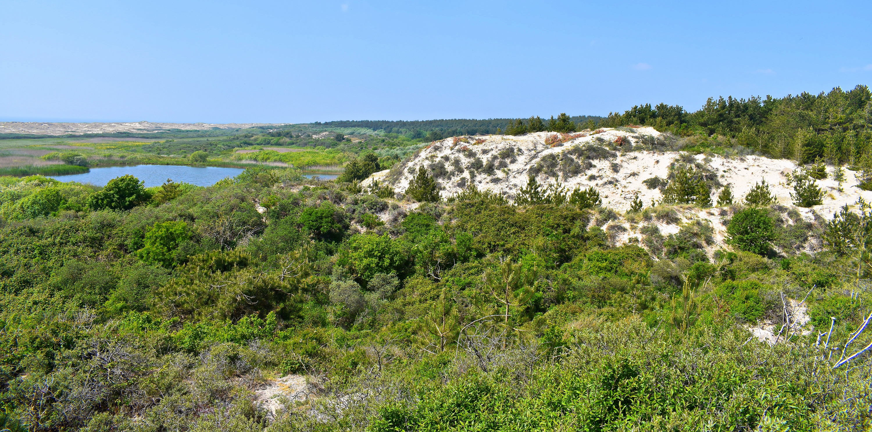 Parc du Marquenterre - voyages et découvertes du monde