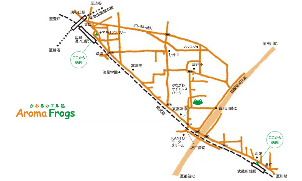 MAP-L