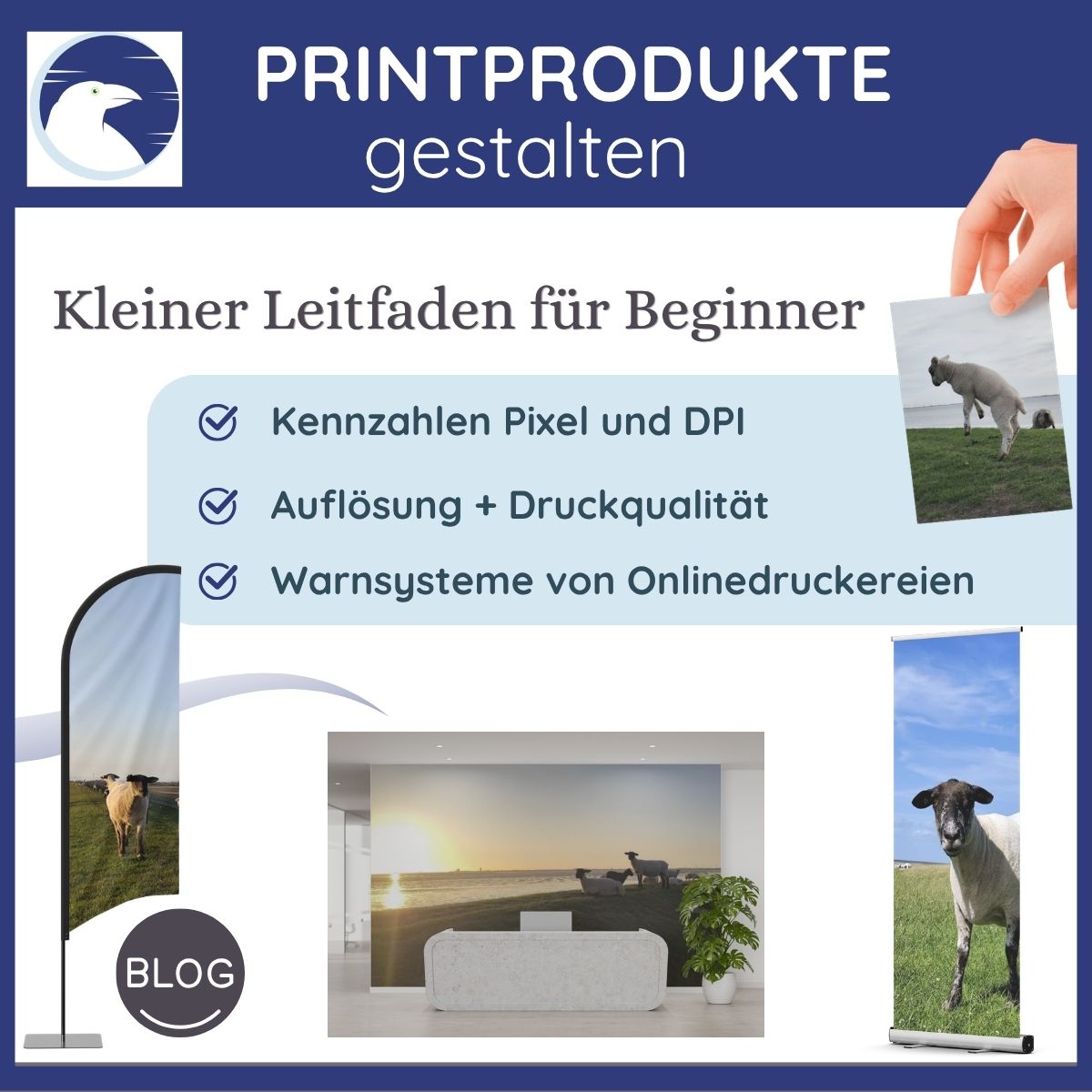 Printprodukte gestalten – das solltest du über Bildgrößen und Druckqualität wissen
