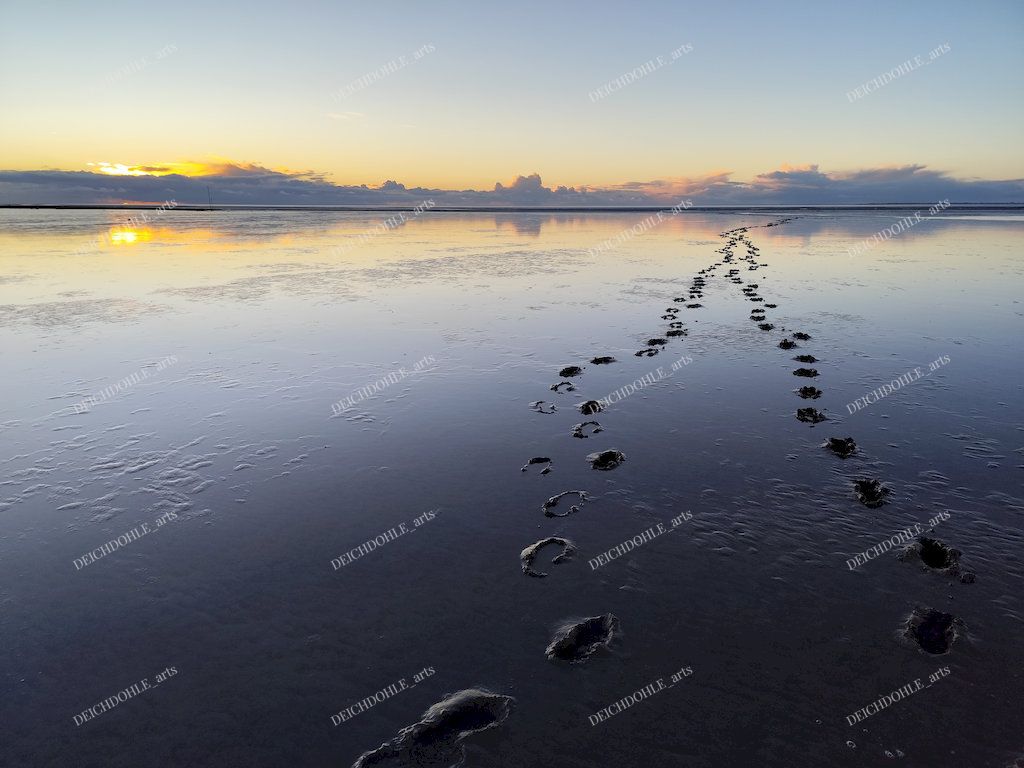 stimmungvolles Bild mit Spuren im Watt an der Nordsee Wesselburener Koog nahe des Eidersperrwerks