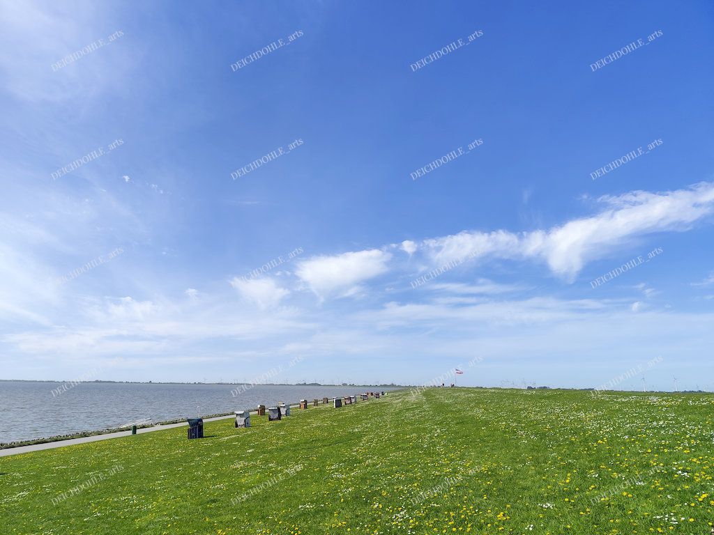 Strandkörbe am Deich an der Badestelle Nordermeldorf am Meldorfer Speicherkoog
