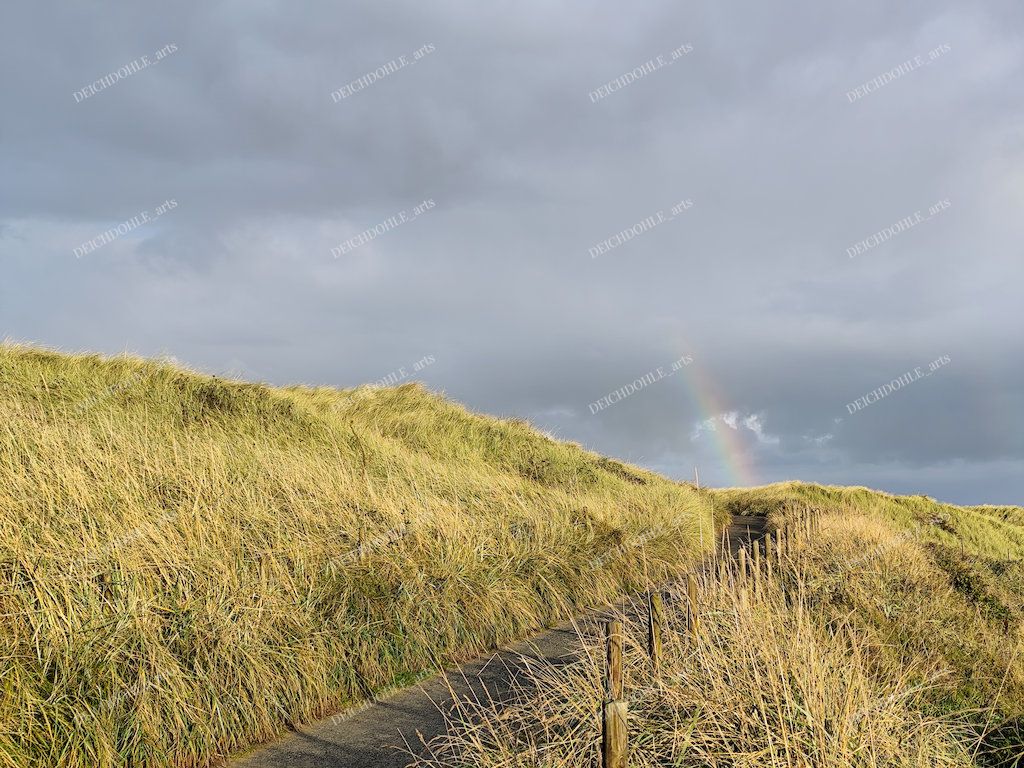 Regenbogen in den Dünen von Hvide Sande am Ringkøbingfjord