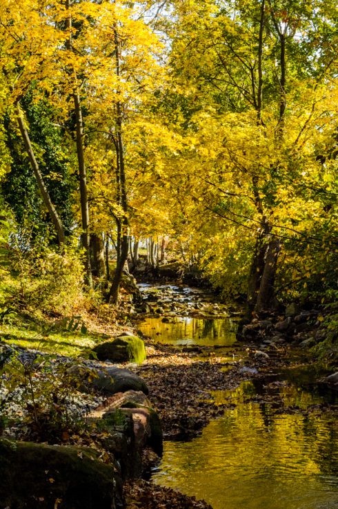 AUTOMNE à NYACK : CREEK VERS L'HUDSON RIVER