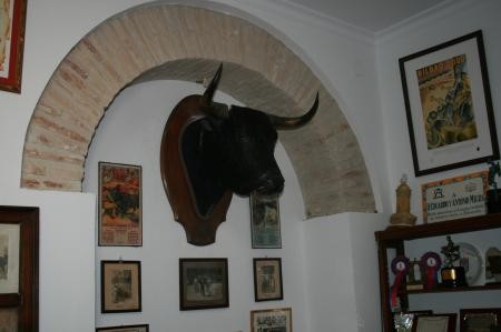 LE TORO GALLEGUITO