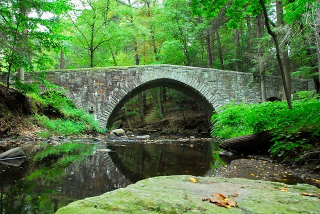 ROCKEFELLER BRIDGE sur POCANTIVO RIVER.