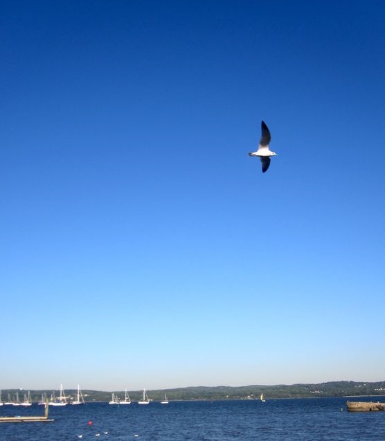 LA VALLEE DE L'HUDSON VUE DE NYACK.  C* Alex BARBIERI