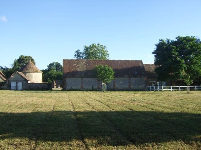 Vue du château de Boussey, côté prairie