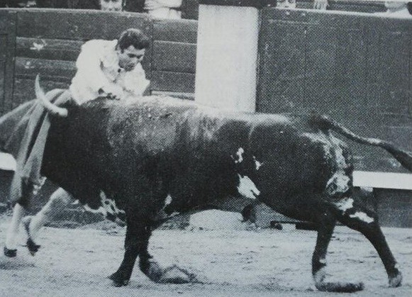 MADRID 24 MAI 1979 BUENASUERTE DONT LES 2 OREILLES ONT ETE COUPEES PAR FRANCISCO RIVERA PEREZ "PAQUIRRI" (1948 - 1984)