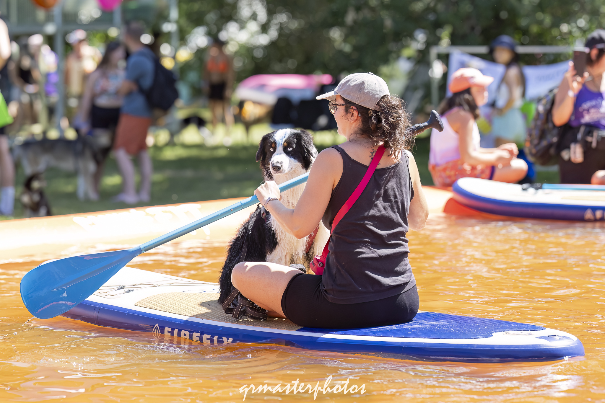 Photographe canin toulouse