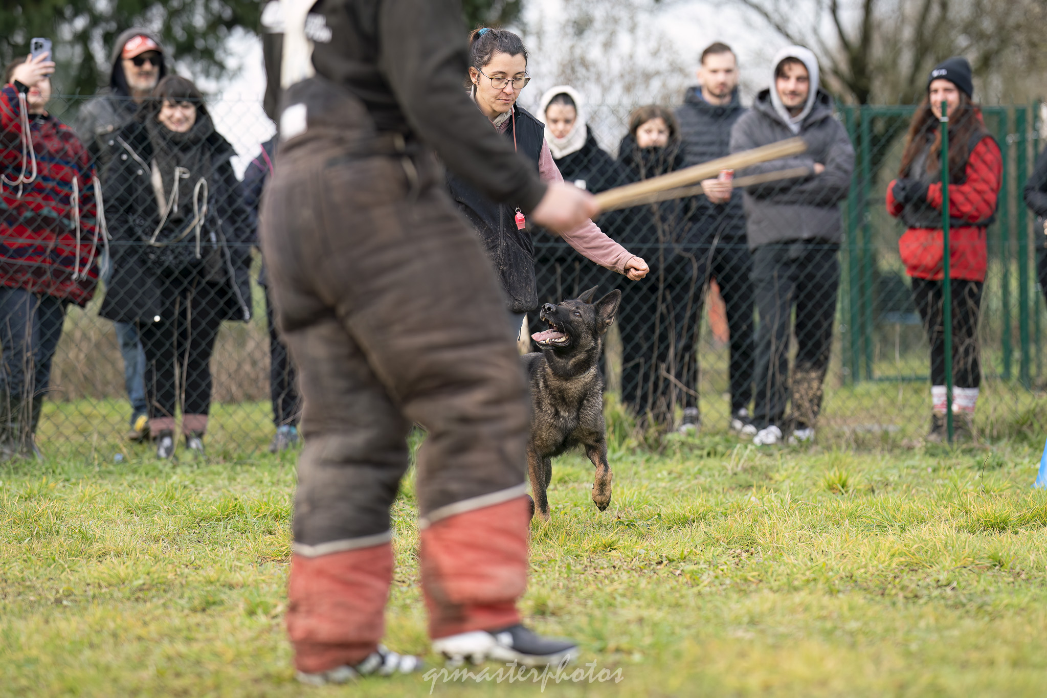 Démonstration Mordant Manon GLHF Dog Training 
