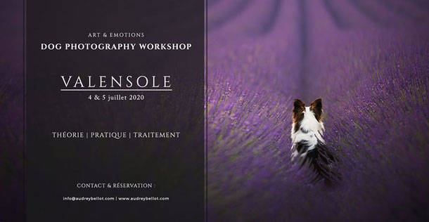 Workshop Valensole - d'Audrey Bellot