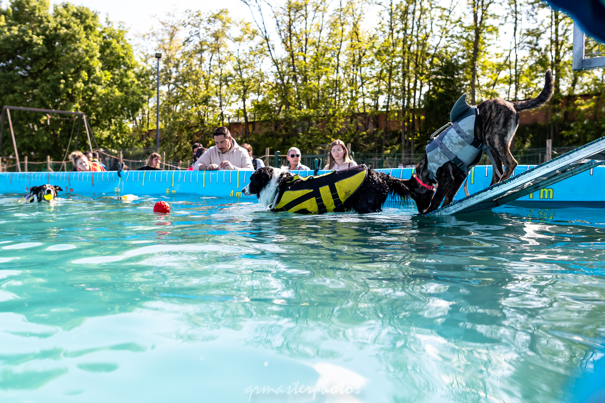 woofolympics - Aucamville Toulouse 2025