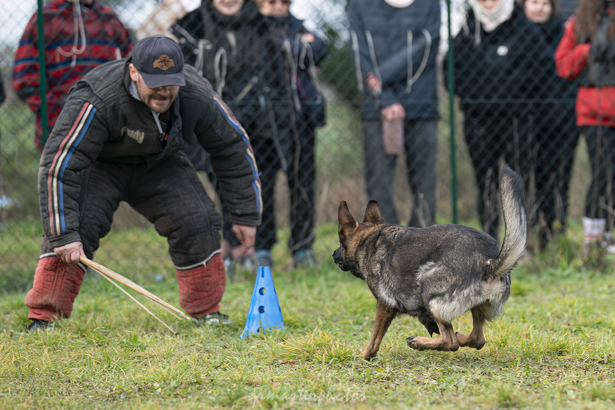 Démonstration Mordant Manon GLHF Dog Training 