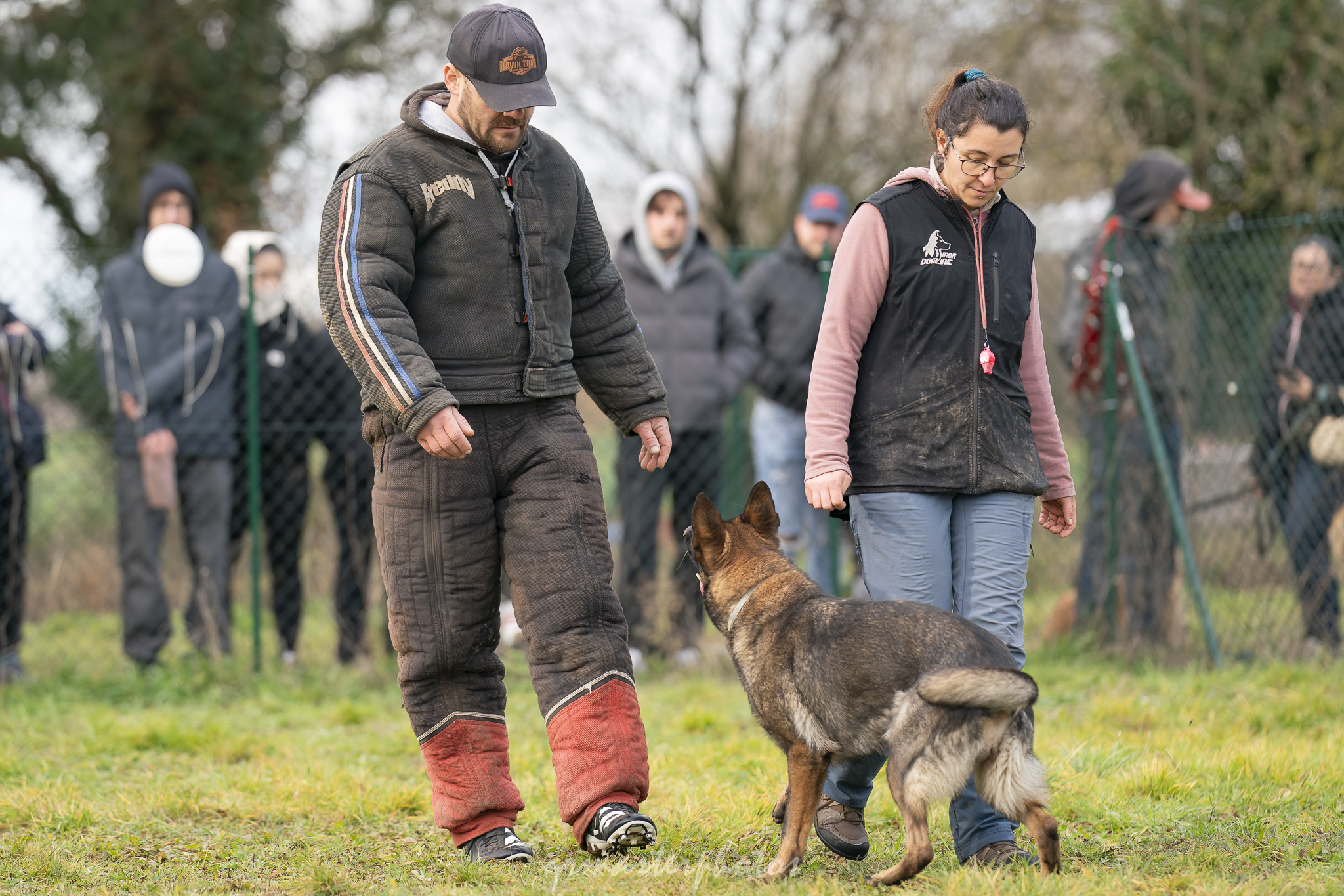 Démonstration Mordant Manon GLHF Dog Training 