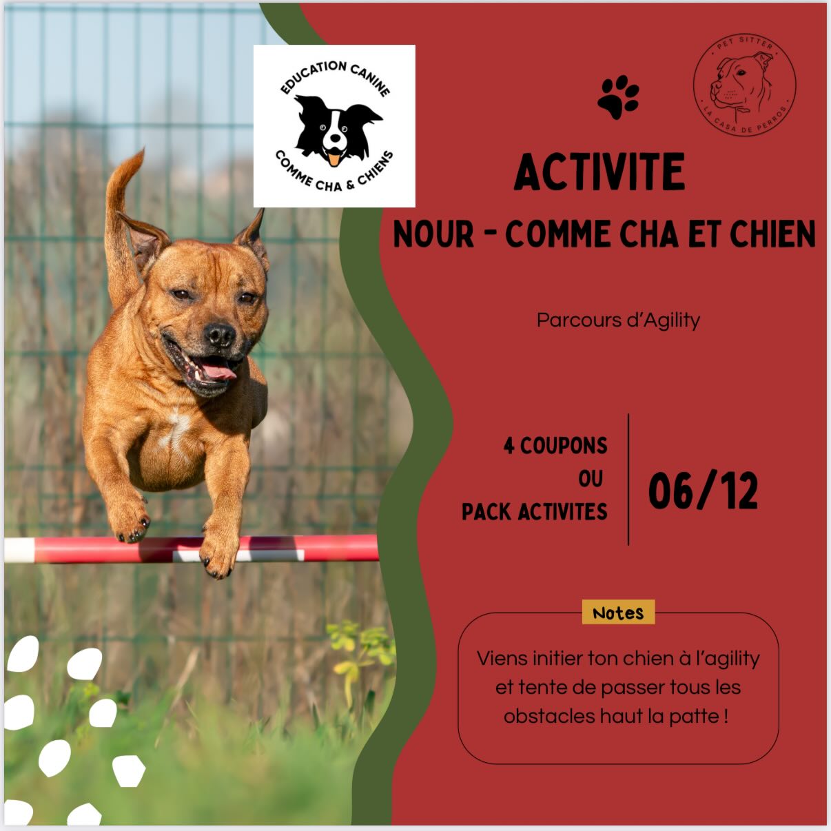 Activité comme cha et chien