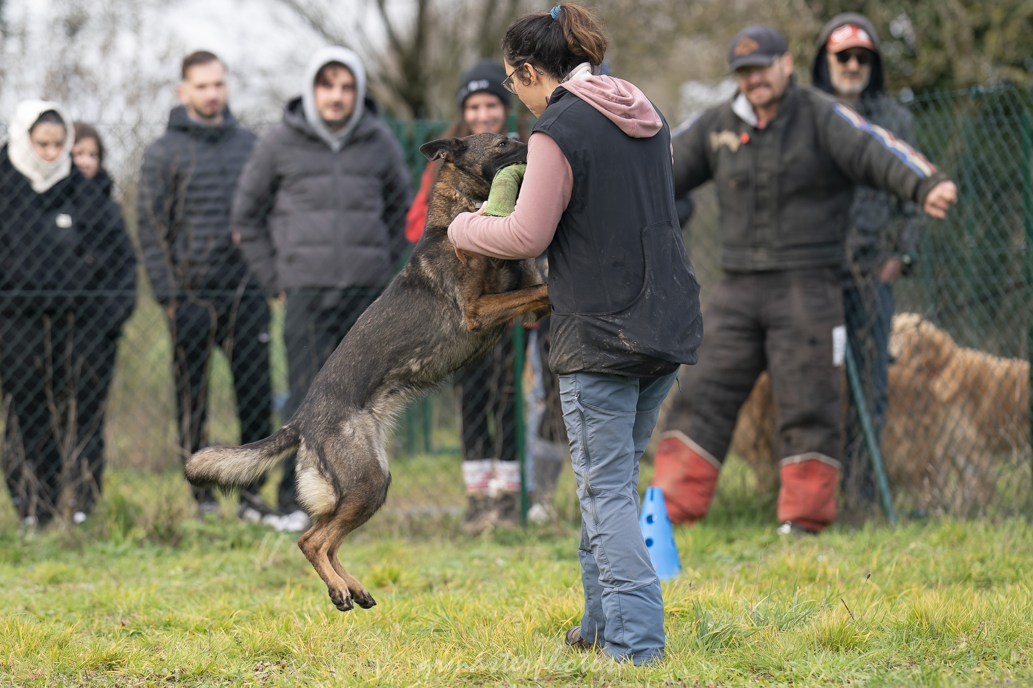 Démonstration Mordant Manon GLHF Dog Training 