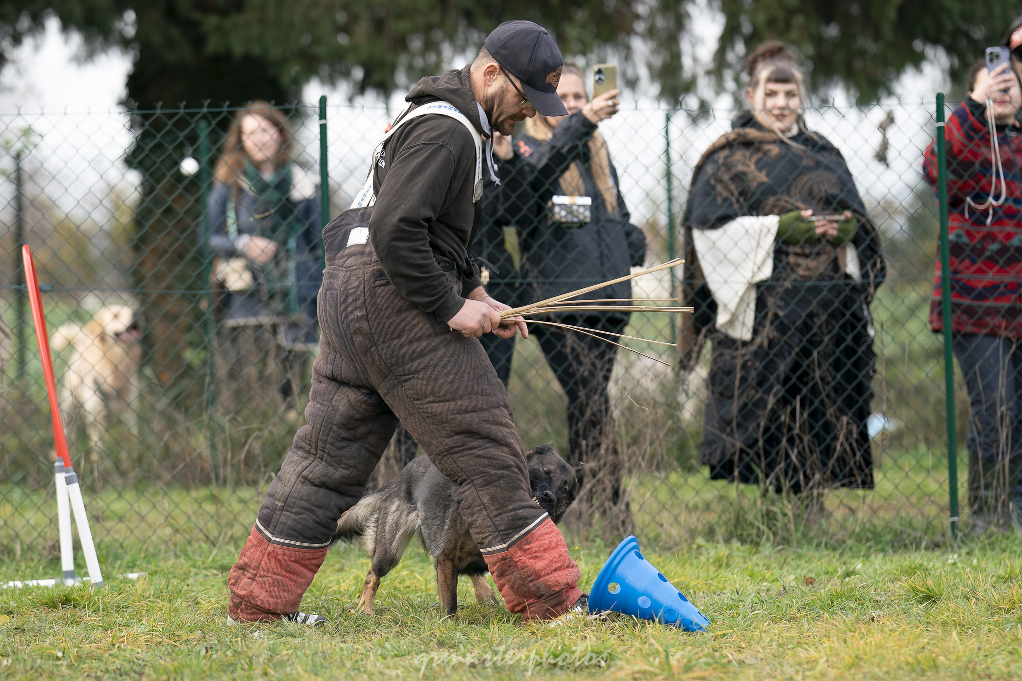 Démonstration Mordant Manon GLHF Dog Training 