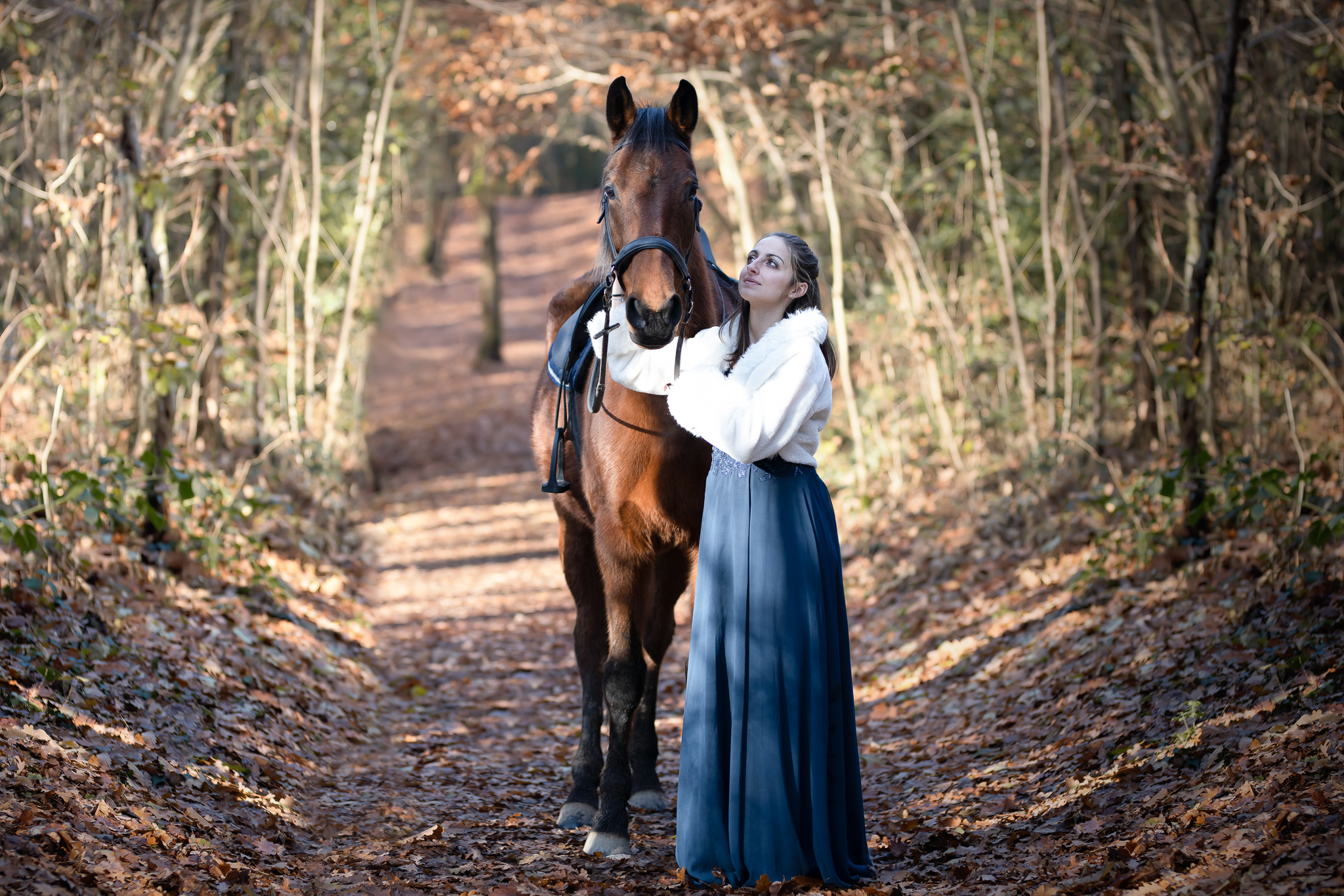 Seance photo equin sur lyon et alentours