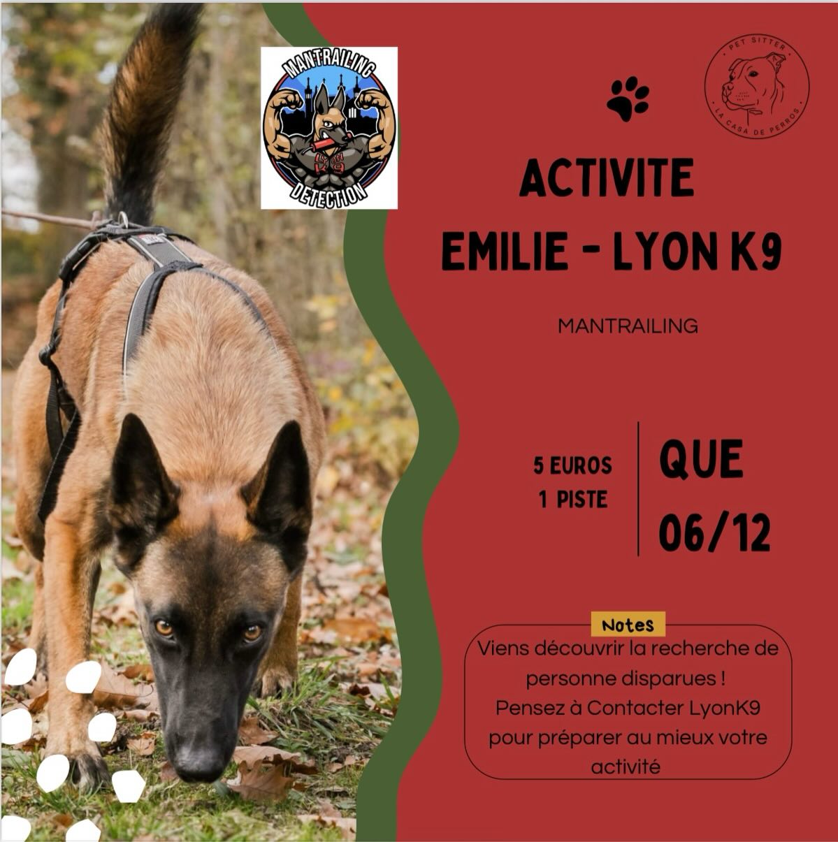 Activité Emilie LYON K9
