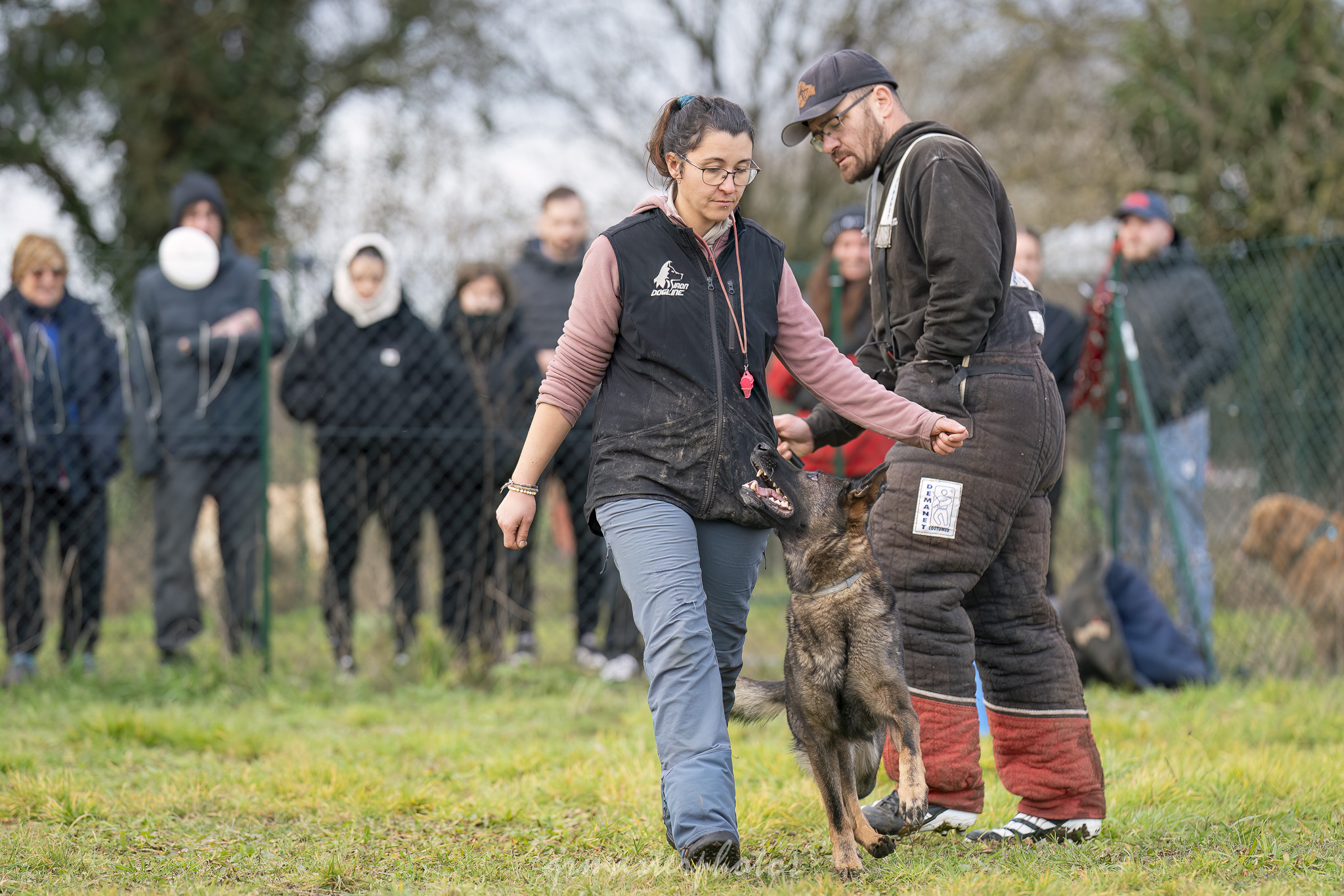 Démonstration Mordant Manon GLHF Dog Training 