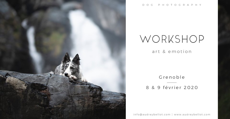Workshop Grenoble  - d'Audrey Bellot