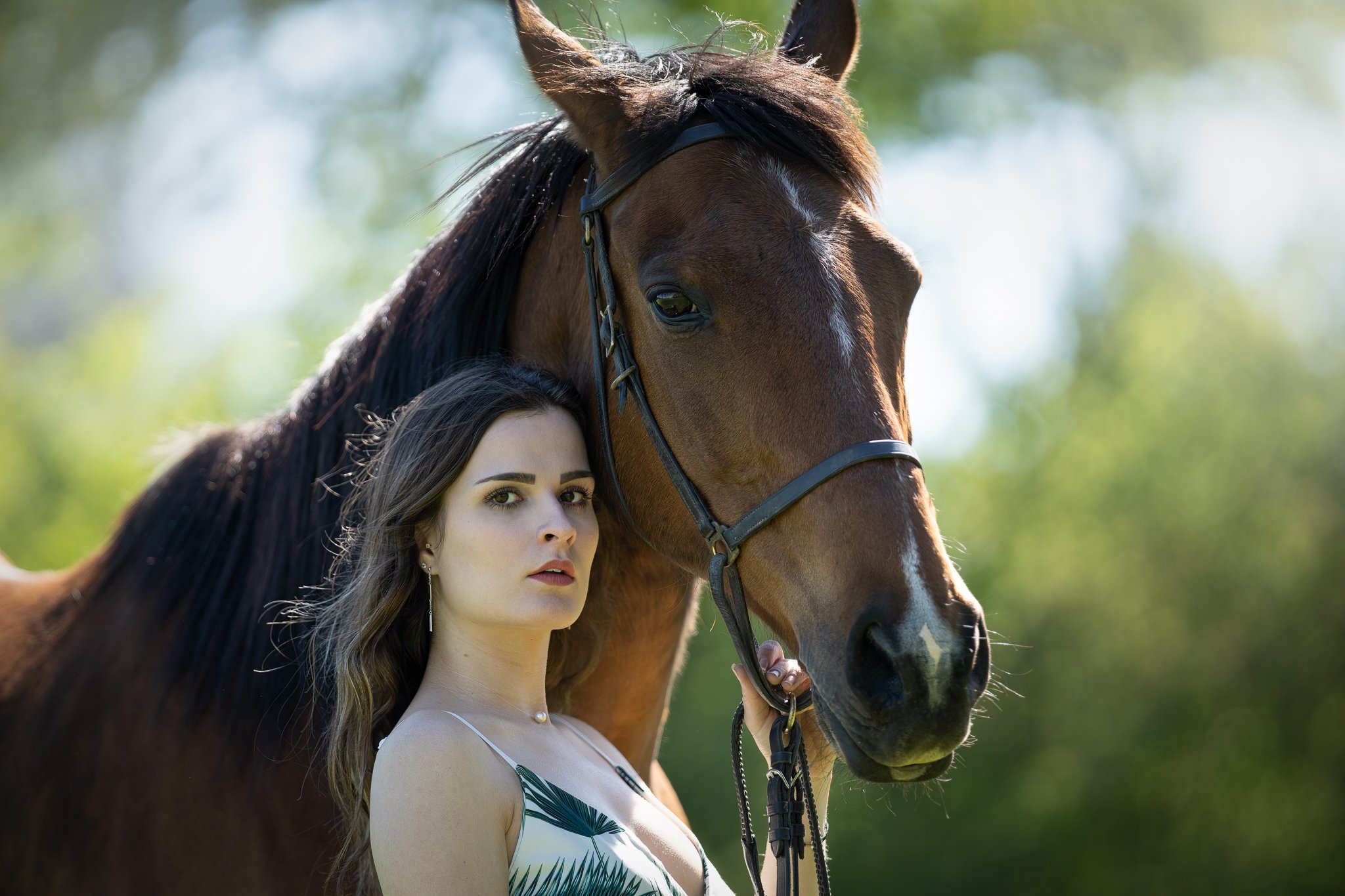 Portrait cheval seance photo equin pro a petit prix