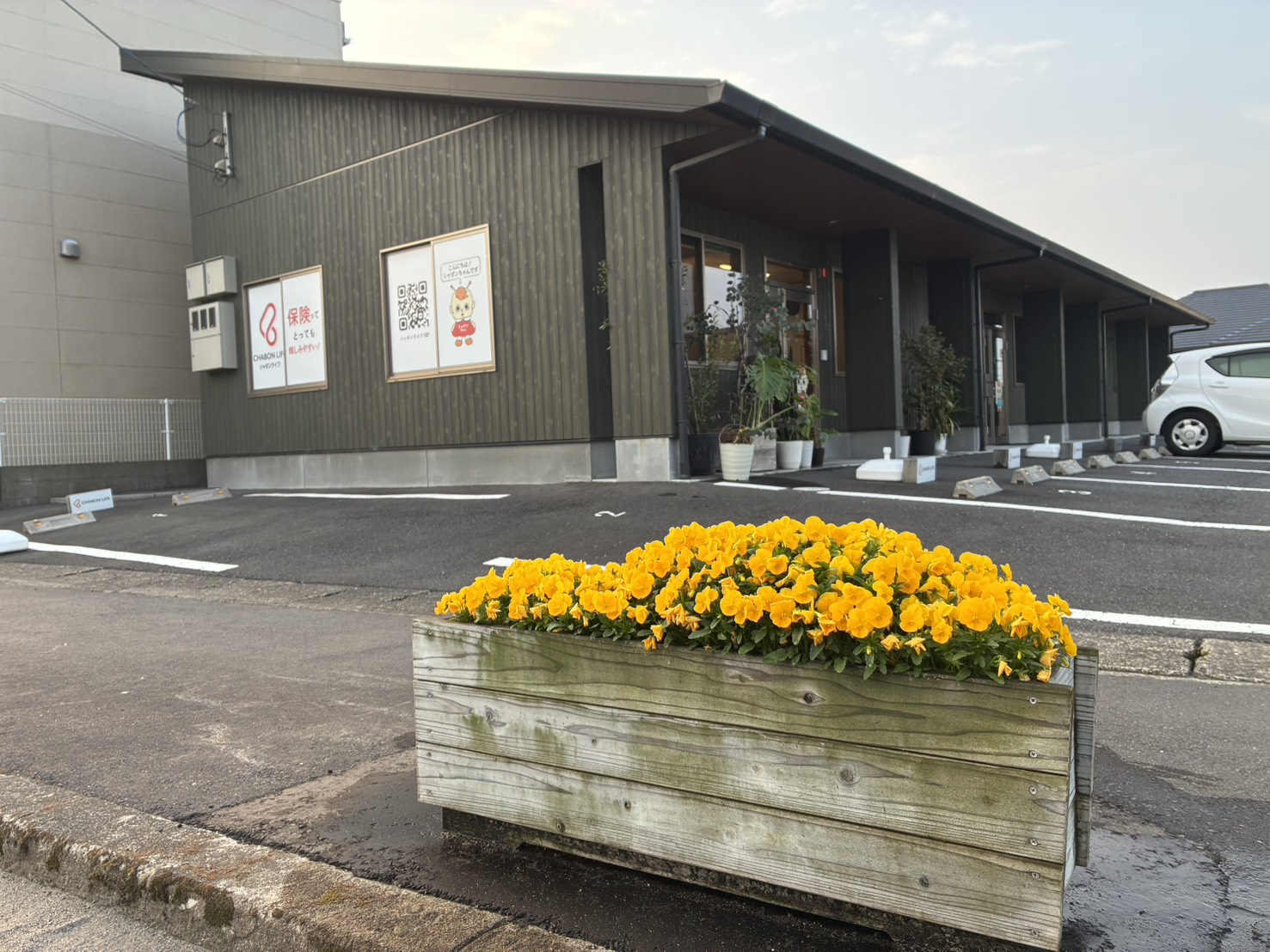 感謝！お客様の声