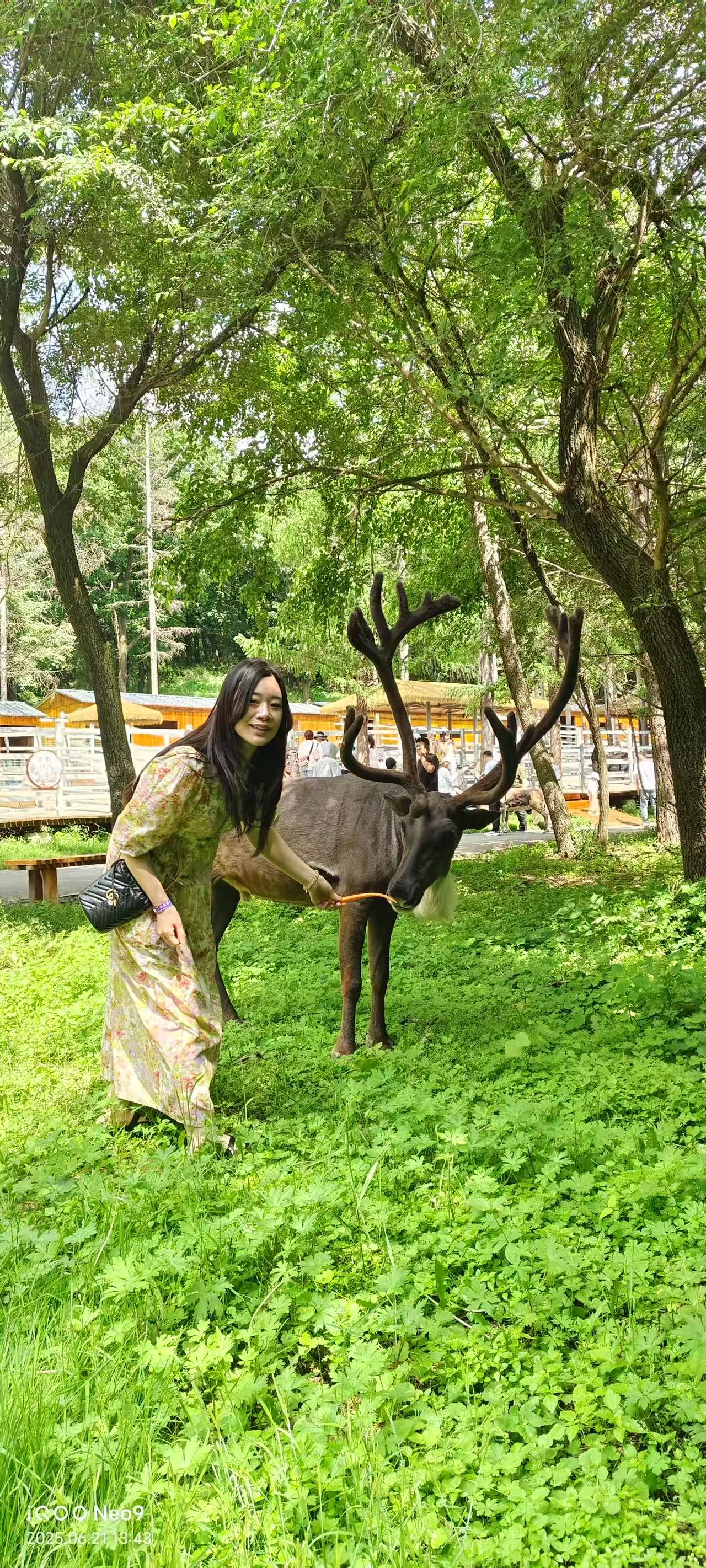 さくら国際結婚 在日中国女性