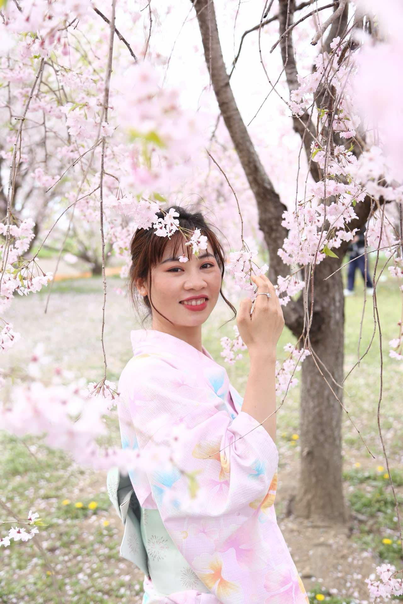 さくら国際結婚 在日ベトナム女性