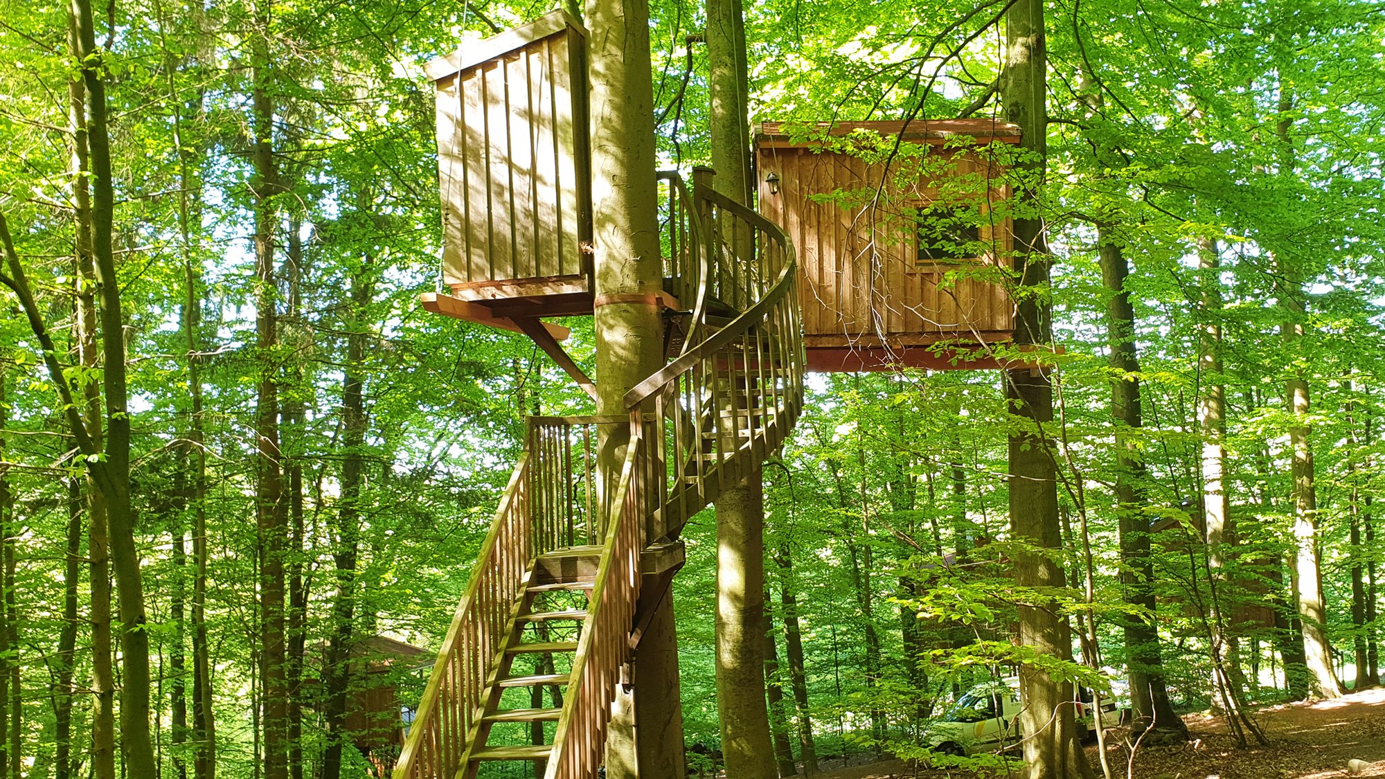 Dein Urlaub im Baumhaus. - Baumhaushotel Solling