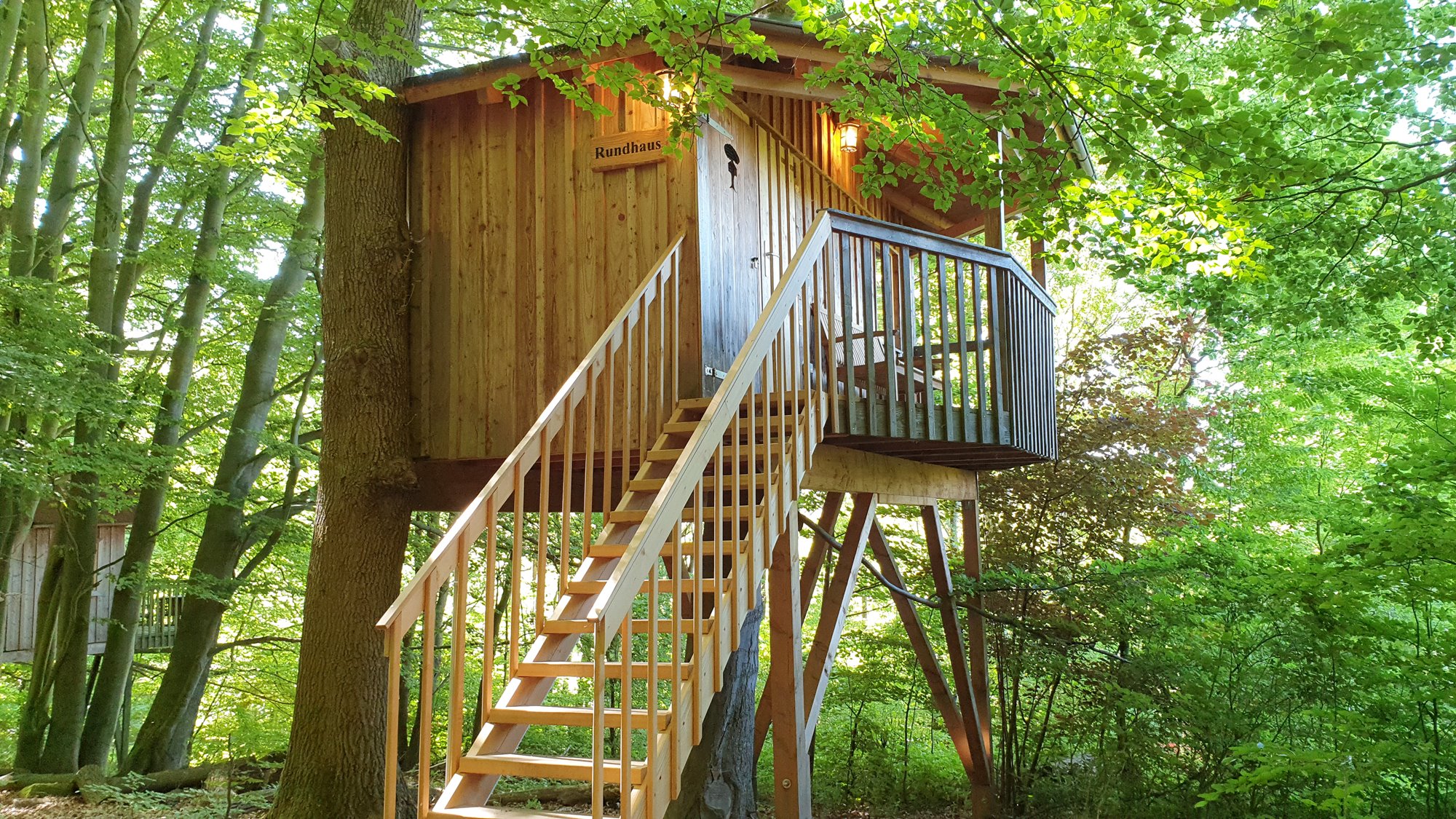 Dein Urlaub im Baumhaus. - Baumhaushotel Solling