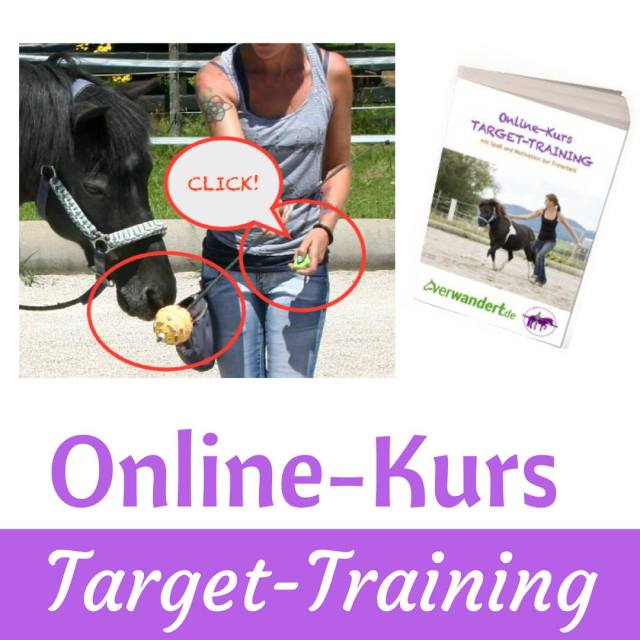 Targettraining Pferd positive Verstärkung
