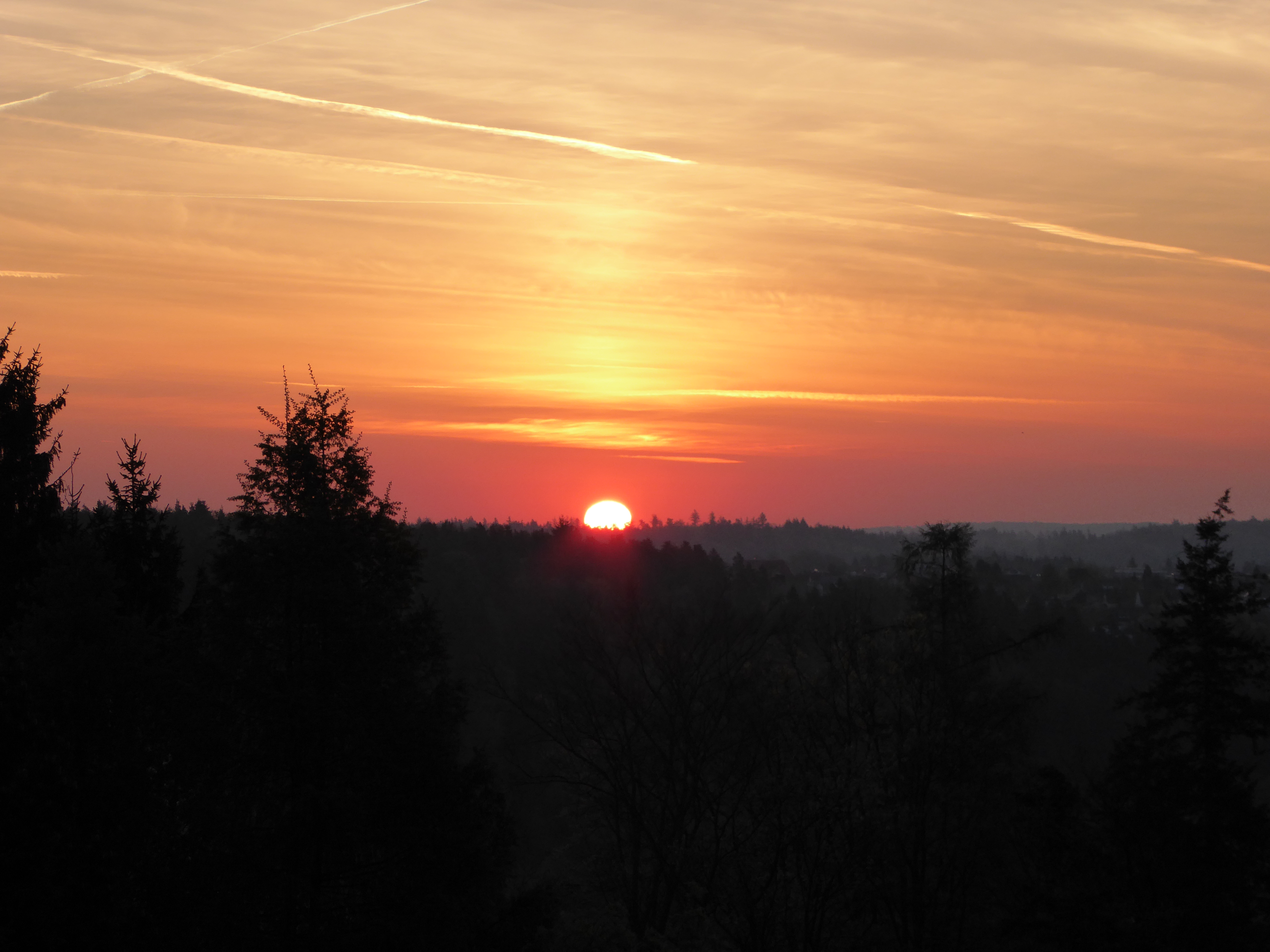 Ferienwohnung Büchenbronn