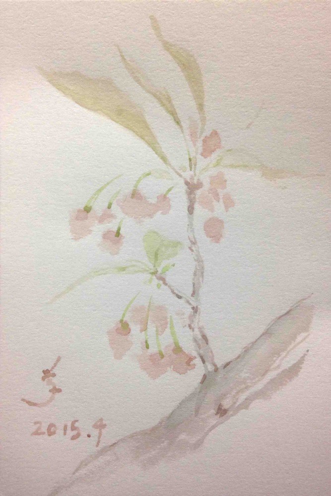 「桜 043」ハガキに透明水彩