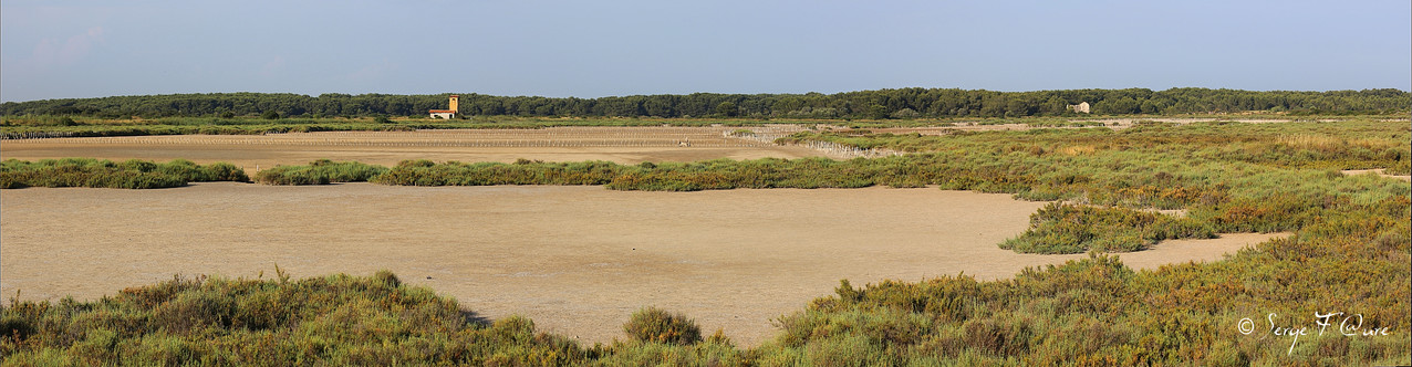 Anciens marais salants à la Sansouïre (Frontignan - Hérault - France) - Vue panoramique